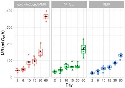 Growing underground: Development of thermogenesis in pups of the fossorial rodent Ctenomys talarum